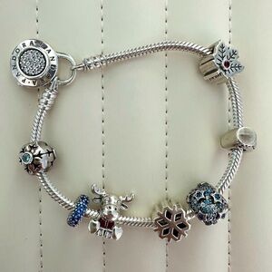 Pandora charm bracelet Winter Theme ❄️